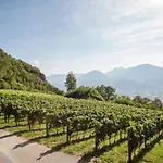 Romantik Chalet Im Weingut Eichenstein